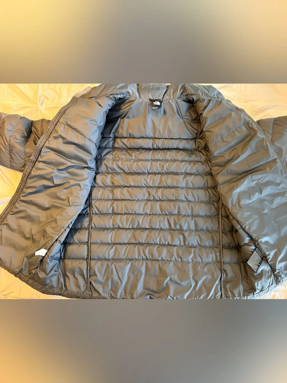 The North Face north face